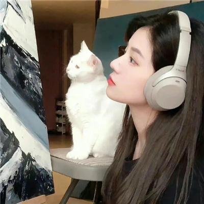 动物频道
